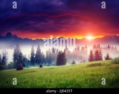 Fantastischer Berg, der durch Sonnenlicht leuchtet. Am Morgen ist es dunkel bewölkt. Dramatische und malerische Szene. Standort Svaneti, Georgien, Europa. Schönheit wo Stockfoto