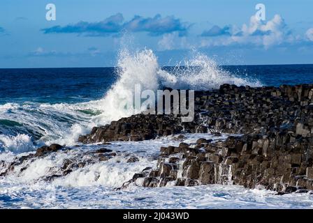 Die Wellen schlagen auf dem Giant's Causeway, County Antrim, Nordirland, ein UNESCO-Weltkulturerbe Stockfoto