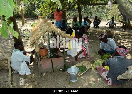 Santiniketan, Indien. 15. März 2022. Baha das Blumenfest von Santal in Birbhum. In Santali bedeutet ‘Baha' Blume. Baha wird unter Santal gefeiert, wenn in der Frühjahrssaison neue Blumen auf Bäumen blühen, besonders auf dem ‘Sal' Baum, der ein heiliges Zeichen der Santals ist, die sie anbeten. (Foto: Samiran Nandy/Pacific Press) Quelle: Pacific Press Media Production Corp./Alamy Live News Stockfoto