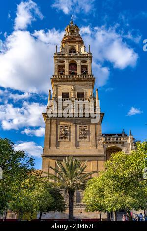 Glockenturm der Mezquita - Catedral de Córdoba in Cordoba, Andalusien, Spanien | Mezquita - Moschee-Kathedrale von Córdoba Glockenturm, Córdoba, Andalusien Stockfoto