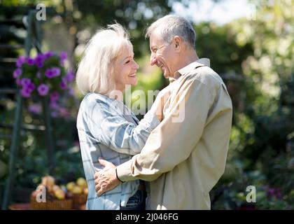 Glückliche ältere Ehepartner tanzen am warmen Frühlingstag im Garten, schauen sich an und lächeln, ruhen sich gemeinsam im Freien aus Stockfoto