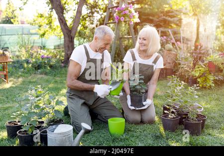 Glückliche ältere Ehegatten im Garten zusammen, Pflanzen Blumen, genießen die Pflege von Pflanzen und Landschaftsbau Garten Stockfoto