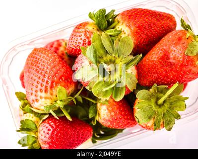 Makrofutter/Fruchtportrait mit einer sukkkkkkkkenden roten Erdbeere auf einfachem Hintergrund Stockfoto