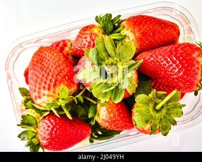 Makrofutter/Fruchtportrait mit einer sukkkkkkkkenden roten Erdbeere auf einfachem Hintergrund Stockfoto