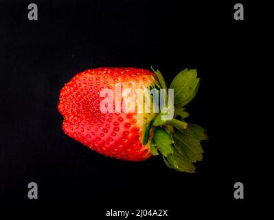 Makrofutter/Fruchtportrait mit einer sukkkkkkkkenden roten Erdbeere auf einfachem Hintergrund Stockfoto