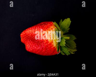 Makrofutter/Fruchtportrait mit einer sukkkkkkkkenden roten Erdbeere auf einfachem Hintergrund Stockfoto