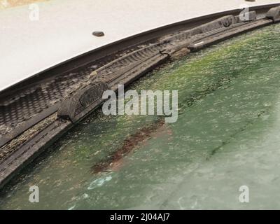 Sheerness, Kent, Großbritannien. 16. März 2022. Wetter in Großbritannien: Ein Auto, das während des Regenschauens zur Mittagszeit mit Sarahan-Staub bedeckt war. Kredit: James Bell/Alamy Live Nachrichten Stockfoto