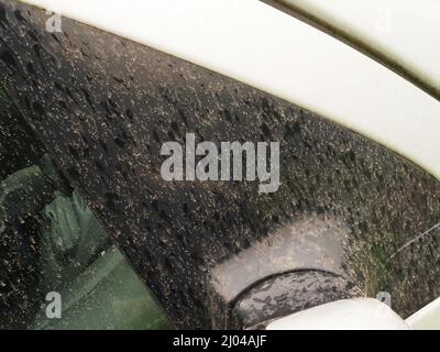 Sheerness, Kent, Großbritannien. 16. März 2022. Wetter in Großbritannien: Ein Auto, das während des Regenschauens zur Mittagszeit mit Staub aus der Sahara bedeckt war. Kredit: James Bell/Alamy Live Nachrichten Stockfoto