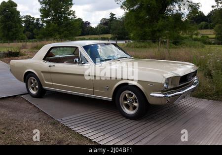 Ein Gold, 1966, Ford Mustang Coupé, das auf der London Classic Car Show 2021 vorgeführt wird Stockfoto