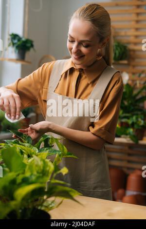 Vertikales Porträt einer glücklichen weiblichen Floristin in der Schürze, die Staub von Blättern grüner Pflanzen im Blumengeschäft abwischt. Stockfoto