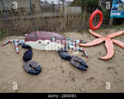 Skulptur einer Krabbe und Seesterne aus Meeresmüll, die an den Stränden rund um Polzeath im Zentrum der Marine Conservation Group, Polzeath, Stockfoto