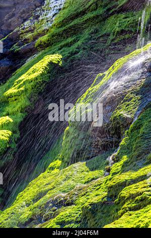 Playa de las Catedrales con formaciones rocosas en Ribadeo, Galicien Stockfoto