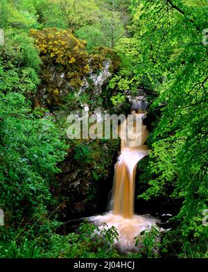 Wasserfall in Ness Wood, CountynDerry, Nordirland Stockfoto