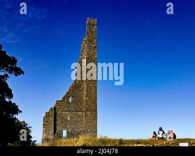 St. Mary's Abbey, Trim, County Meath, Irland Stockfoto