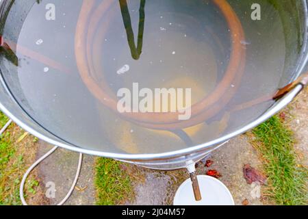 Kondensator aus verdrehtem Kupferrohr, das in spiraliger Form in kaltem Wasser zur Kühlung von Alkoholdampf verbogen ist. Moonshine-Schnaps, alkoholisch sein Stockfoto