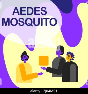 Handschriftenschild Aedes Mosquito. Geschäftskonzept die Gelbfiebermücke, die Dengue-Fieber verbreiten kann Kollegen Displaying Cube representing Stockfoto