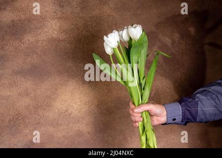 Hand des Mannes mit einem Strauß weißer Tulpen, Raum kopieren Stockfoto