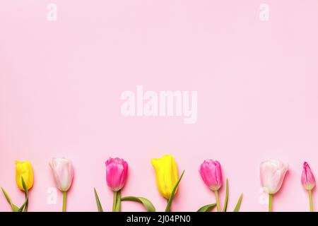 Ostern Komposition Blumen Tulpen auf rosa Hintergrund. Platz für die Banner-Kopie Stockfoto