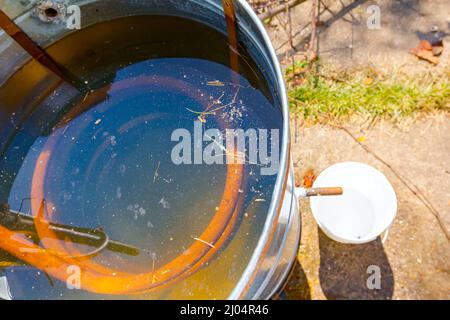 Kondensator aus verdrehtem Kupferrohr, das in spiraliger Form in kaltem Wasser zur Kühlung von Alkoholdampf verbogen ist. Moonshine-Schnaps, alkoholisch sein Stockfoto