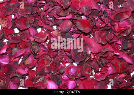 Dunkelrote getrocknete Rose duftende Blütenblätter aus der Nähe, dunkelrote getrocknete Rose Blume auf trockenen duftenden Blütenblättern weichen Hintergrund. Stockfoto