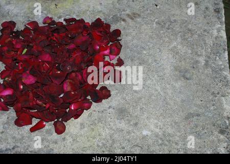 Dunkelrote getrocknete Rose duftende Blütenblätter aus der Nähe, dunkelrote getrocknete Rose Blume auf trockenen duftenden Blütenblättern weichen Hintergrund. Stockfoto