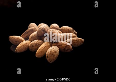 Nahaufnahme von Olea europaea Samen oder Olivenkernen mit schwarzem Hintergrund, bereit zur Aussaat Stockfoto