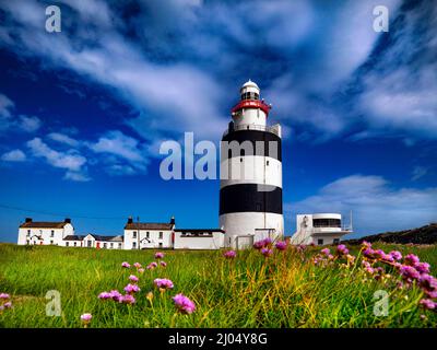 Hookhead Lighthouse, County Wexford, Irland Stockfoto