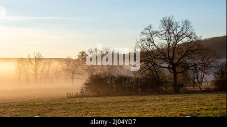 Landschaft im Nebel bei Sonnenaufgang an einem Wintermorgen. Burgund, Frankreich Stockfoto