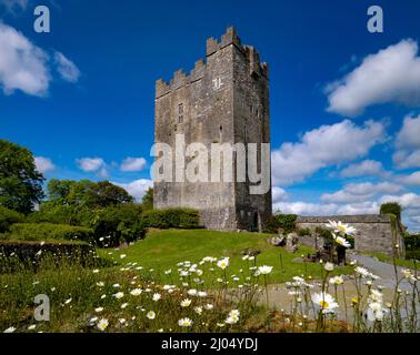 Dysert O'Dea Castle, County Clare, Irland Stockfoto