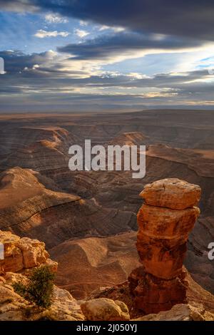 Blick auf den San Juan River und das Monument Valley von Muley Point auf Cedar Mesa, Utah. Stockfoto