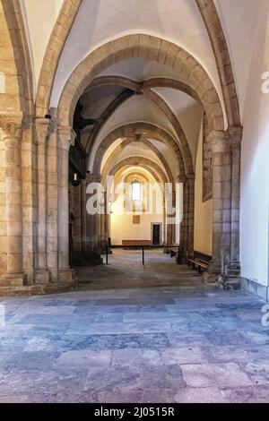 Vidrieras de la Catedral de la Asunción en Mondoñedo, Galicia, Lugo, España Stockfoto