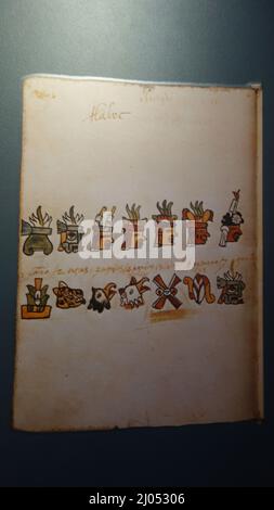 Bilder des Tudela Codex im America Museum, Madrid Spanien Stockfoto