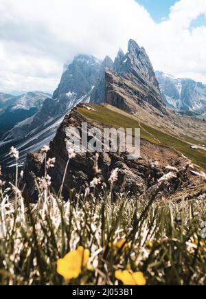 Schöne Aussicht auf schneebedeckte Felsklippen auf Grasland vor blauem Himmel auf der Seiser Alm, Italien Stockfoto