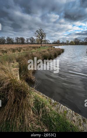 Sammeln von Sturmwolken über dem Leg of Mutton Pond im Bushy Park bei London Stockfoto