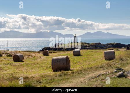 Llanddwyn, Wales: TWR Bach (Little Tower), Anglesey, mit Blick auf das irische Meer. Ein Tagesfeuer, das Schiffe zu den Menai s führt Stockfoto