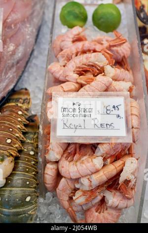 Royal Red Shrimp am Eaton Street Fish Market, Altstadt, Key West, Florida Stockfoto