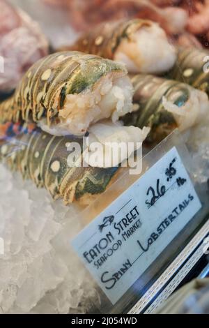 Stachelschwänze am Eaton Street Fish Market, Altstadt, Key West, Florida Stockfoto