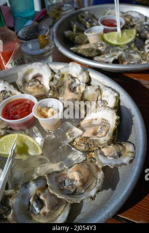 Rohe Austern in der Half Shell Raw Bar und Restaurant in der Marina in Key West, Florida, FL, USA, wurden 1972 eröffnet Stockfoto