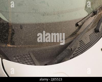 Sheerness, Kent, Großbritannien. 16. März 2022. Wetter in Großbritannien: Ein Auto, das heute Nachmittag bei Regen mit Staub aus der Sahara bedeckt war. Kredit: James Bell/Alamy Live Nachrichten Stockfoto