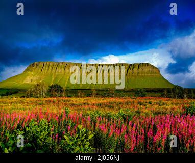 Benbulben Mountain, County Sligo, Irland Stockfoto