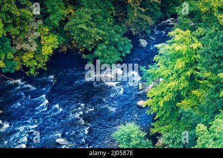 Luftaufnahme des Waldes im Herbst in den Bergen Stockfoto