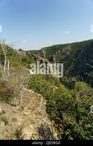 Luftaufnahme des Waldes im Herbst in den Bergen Stockfoto
