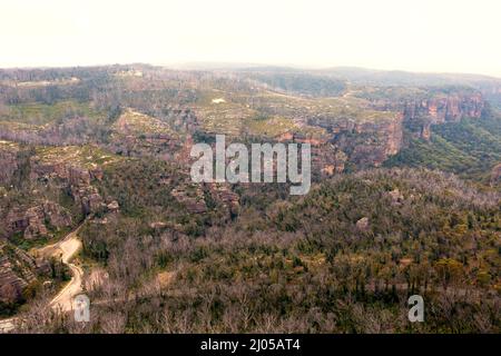 Drohnenaufnahme von Bäumen, die sich nach schweren Buschbränden im Central Tablelands-Gebiet von New South Wales in Australien regenerieren Stockfoto