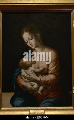 Luis de Morales (c. 1510-1586). Spanischer Maler. „Jungfrau und Kind“. Öl auf Platte, 1560-1570. Nationalmuseum für Alte Kunst Lissabon, Portugal. Stockfoto