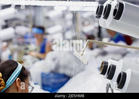 Grodno, Weißrussland - 22. November 2017: Die Frauen sind in der Schneiderei der Strumpfhose in JLLC Conte Spa beschäftigt. Stockfoto