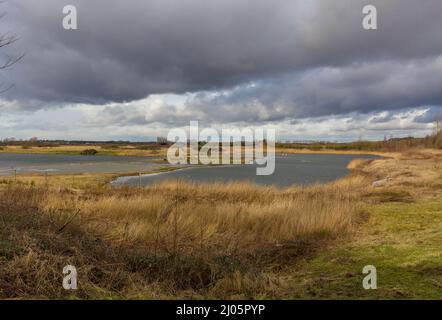 North Cave Wetlands in East Yorkshire, ein wichtiges Naturschutzgebiet für viele Vogel- und Säugetierarten. Ein kalter Tag im Winter mit stürmischen Himmelsseen, Stockfoto