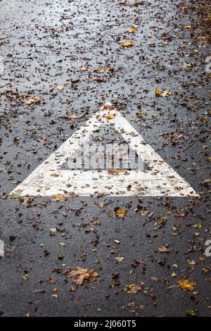 Weißer Richtungspfeil auf Asphalt mit vielen herbstlichen Herbstblättern Stockfoto