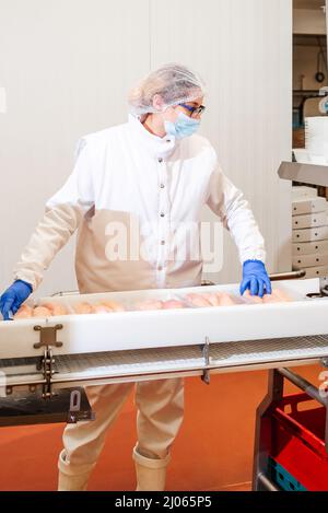 Linie für die Herstellung von Halbfabrikaten. Fabrik für die Herstellung von Lebensmitteln aus Fleisch.Industrielle Ausrüstung in einer Fleischfabrik. Stockfoto