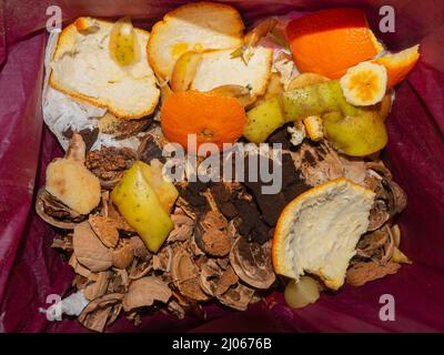 Detail des häuslichen Behälters aus organischen Abfällen mit Rückständen von Gemüse, Obst, Kaffee in einem roten biologisch abbaubaren Beutel Stockfoto