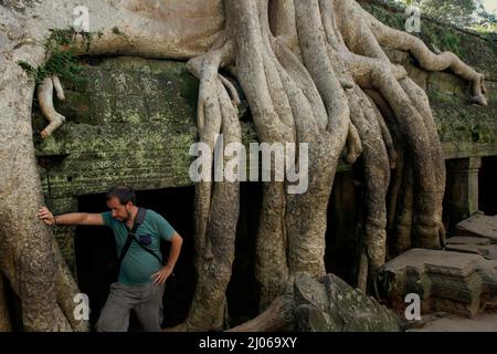 Ein Besucher, der sich am Ta Prohm Tempel, Siem Reap, Kambodscha, an einer riesigen Baumwurzel lehnt. Einst als Drehort für einen Hollywood-Film von 2001 verwendet Lara Croft: Tomb Raider mit Angelina Jolie und vor allem bekannt für seine riesigen Wurzeln aus wilden Bäumen, die tief zwischen den Steinen verwurzelt sind, war Ta Prohm ein Kloster für Studenten des Mahayana-Buddhismus, bevor es verlassen und für Hunderte von Jahren vergessen wurde. Stockfoto